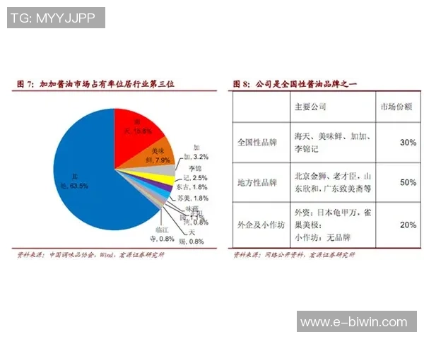 摩腾足球的实力分析与发展前景探讨